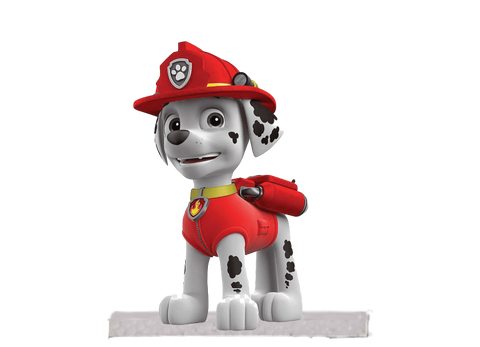 SAGOMA PAW PATROL IN POLISTIROLO PERSONALIZZATA MOD.2